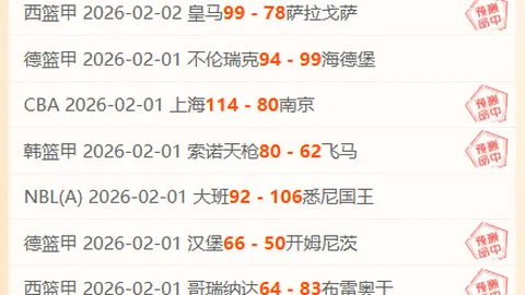 第2026082期 2026082期大乐透专家质合推荐前区十