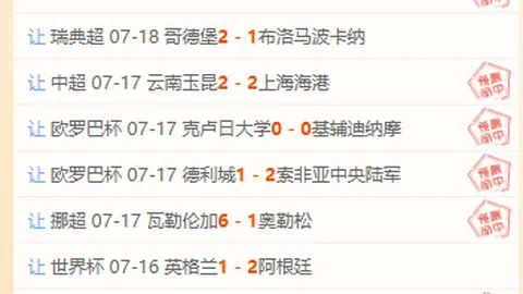开云体育 114203 29